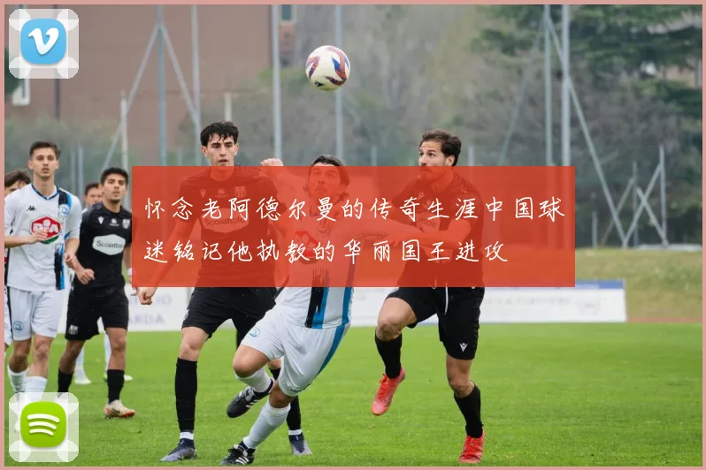 怀念老阿德尔曼的传奇生涯中国球迷铭记他执教的华丽国王进攻